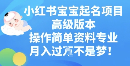 小红书宝宝起名项目高级版本，操作简单，资料专业，月入过W-源创文化：轻创终点站