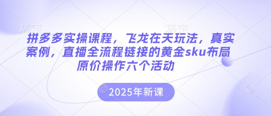 拼多多实操课程，飞龙在天玩法，真实案例，直播全流程链接的黄金sku布局原价操作六个活动-源创文化：轻创终点站