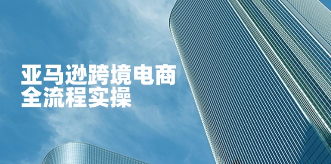 (14252期)亚马逊跨境电商全流程实操,教你从零开始,掌握店铺运营与广告技巧-源创文化:轻创终点站