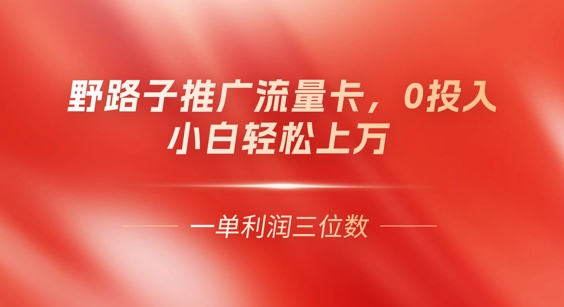 0门槛推广流量卡，一单收益上百，0投入，小白月入过W-源创文化：轻创终点站