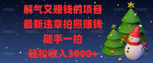 解气又挣钱的项目，最新违章拍照挣钱，随手一拍，轻松收入数张【揭秘】-源创文化：轻创终点站